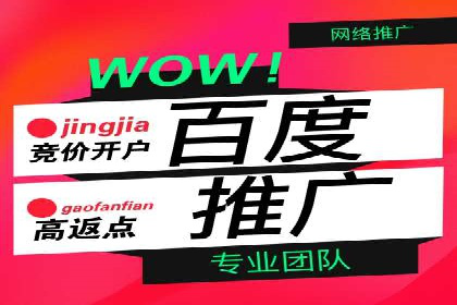 精准投放，高效转化——SEM竞价推广案例分享